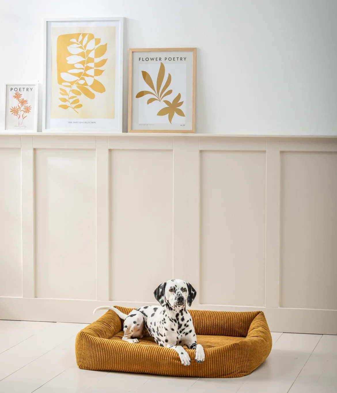 Dehner Premium Orthopädisches Hundebett Enola, rechteckig, ca. B90/H23/T70 cm