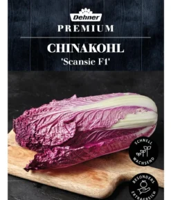 Dehner Premium Samen Chinakohl 'Scansie F1'
