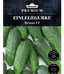 Dehner Premium Samen Einlegegurke 'Bruno F1'