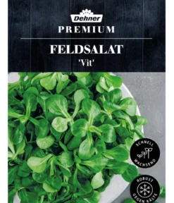 Dehner Premium Samen Feldsalat 'Vit'