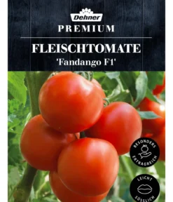 Dehner Premium Samen Fleischtomate 'Fandango F1'