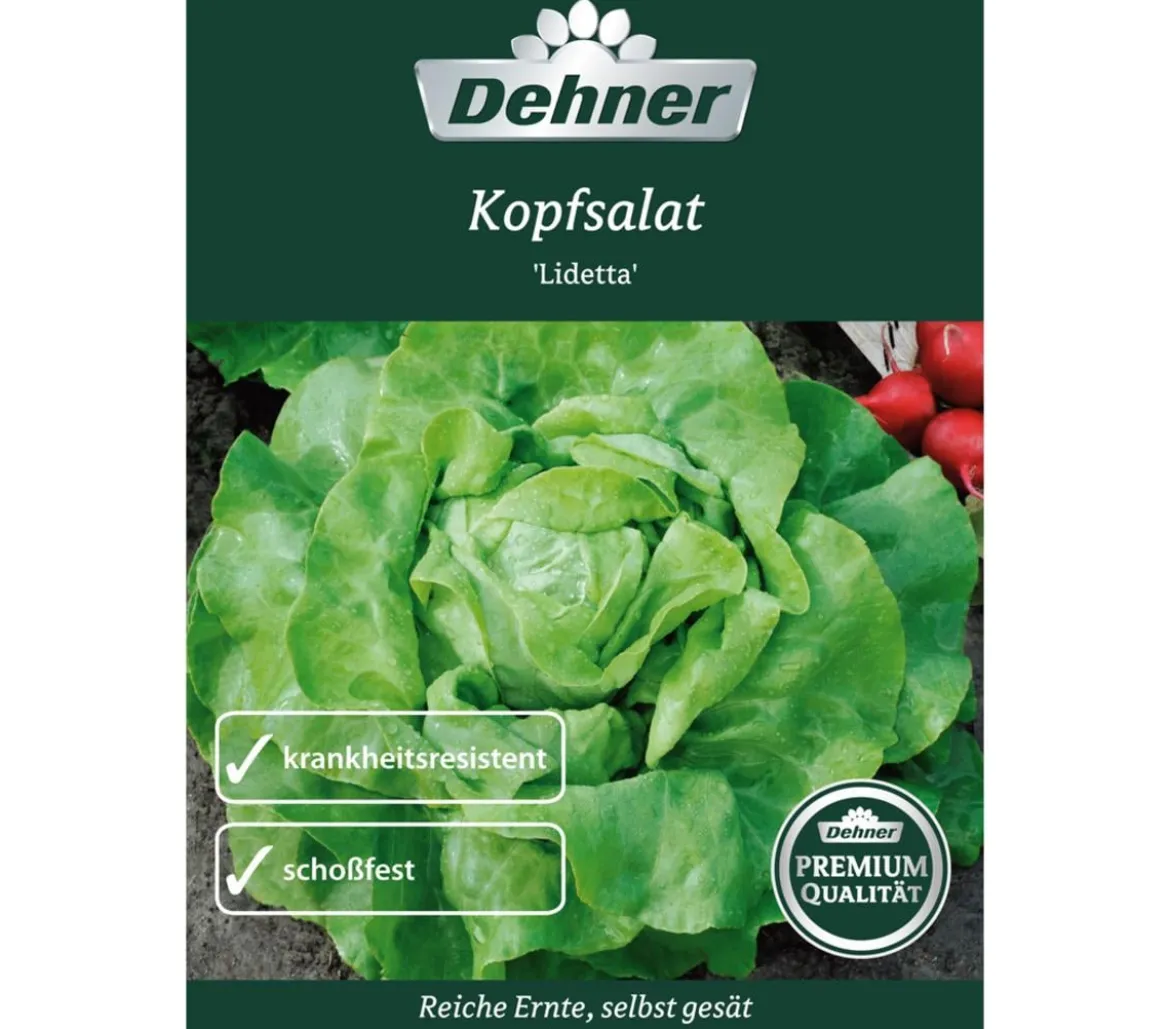 Dehner Premium Samen Kopfsalat 'Lidetta'