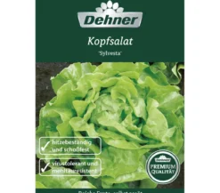 Dehner Premium Samen Kopfsalat 'Sylvesta'