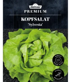 Dehner Premium Samen Kopfsalat 'Sylvesta'
