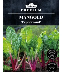 Dehner Premium Samen Mangold 'Peppermint'