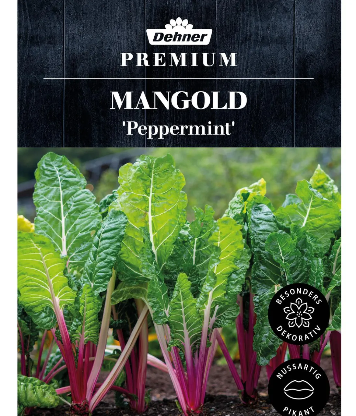 Dehner Premium Samen Mangold 'Peppermint'