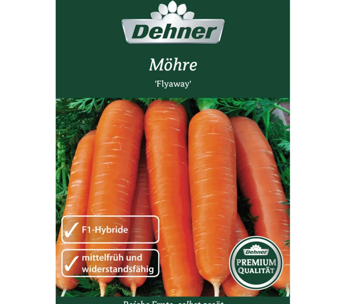 Dehner Premium Samen Möhre 'Flyaway'