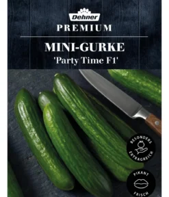 Dehner Premium Samen Mini-Gurke 'Party Time F1'