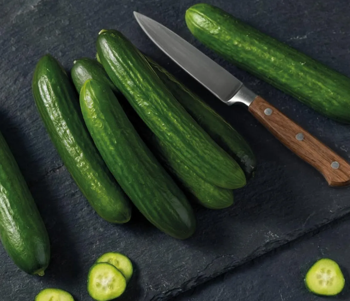 Dehner Premium Samen Mini-Gurke 'Party Time F1'
