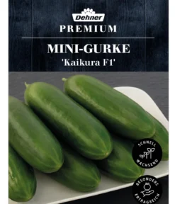 Dehner Premium Samen Mini-Gurke 'Kaikura F1'
