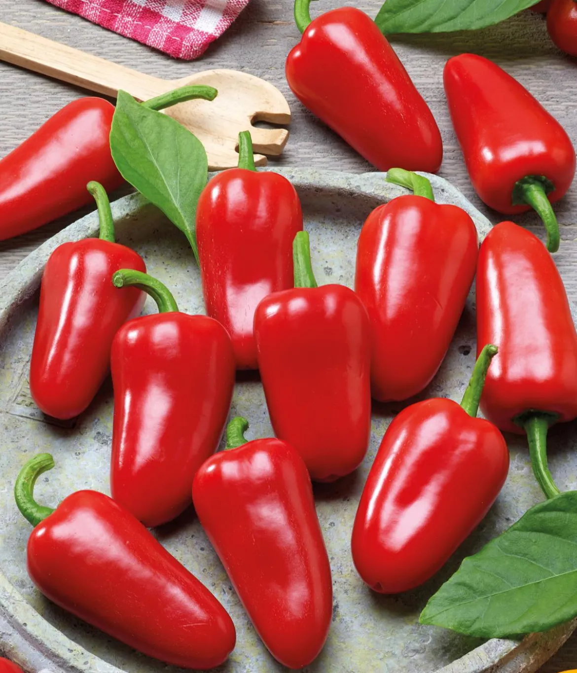 Dehner Premium Samen Mini-Paprika 'Snacking red F1'