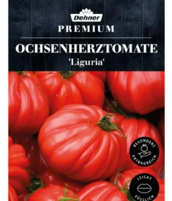Dehner Premium Samen Ochsenherztomate 'Liguria'
