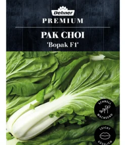 Dehner Premium Samen Pak Choi 'Bopak F1'