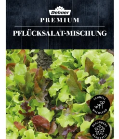 Dehner Premium Samen Pflücksalat Mischung