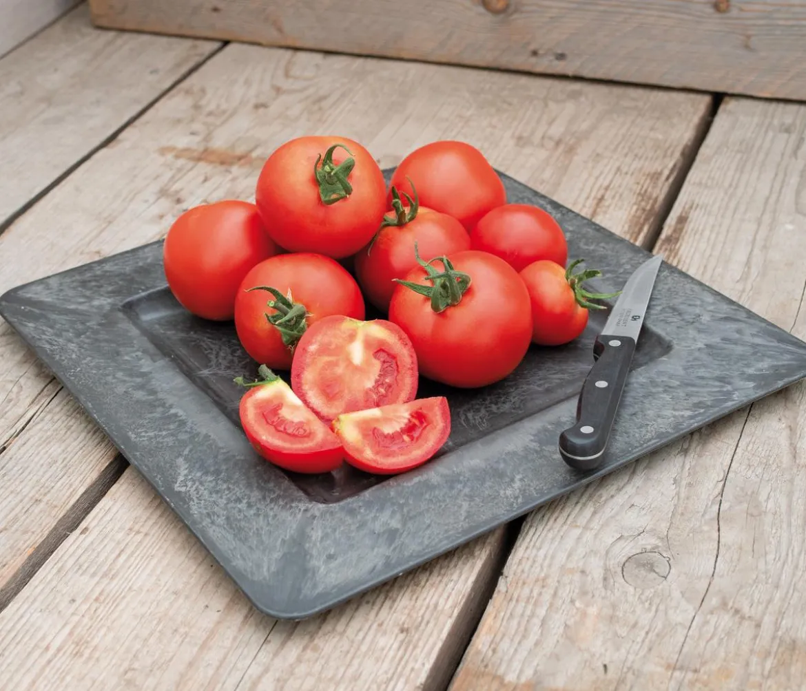 Dehner Premium Samen Rispentomate 'Serrat F1'