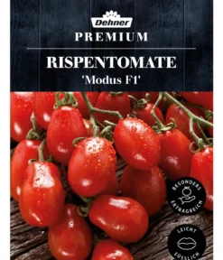 Dehner Premium Samen Rispentomate 'Modus F1'