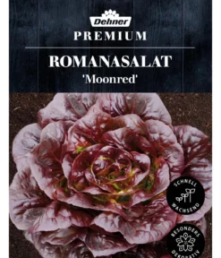 Dehner Premium Samen Romanasalat 'Moonred'