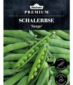 Dehner Premium Samen Schalerbse 'Serge'