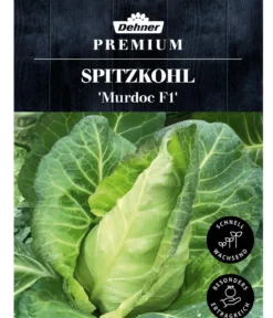 Dehner Premium Samen Spitzkohl 'Murdoc F1'