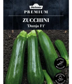 Dehner Premium Samen Zucchini 'Dunja F1'