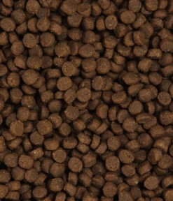 Dehner Premium Trockenfutter für Katzen Active/Outdoor Adult, Huhn