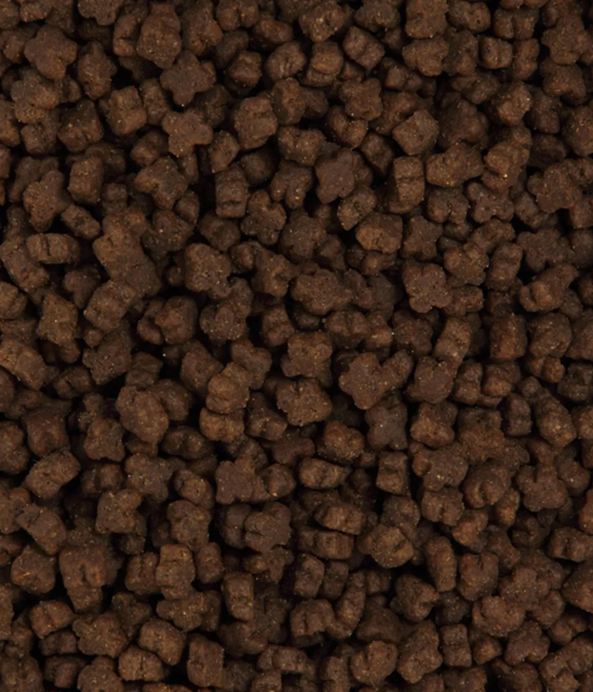 Dehner Premium Trockenfutter für Katzen Kitten, Huhn
