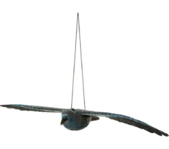 Dehner Rabe, fliegend