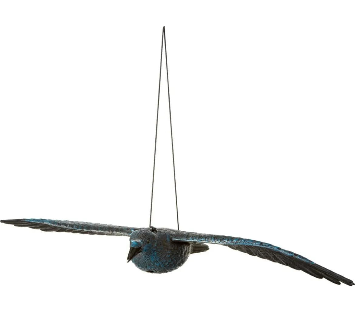 Dehner Rabe, fliegend
