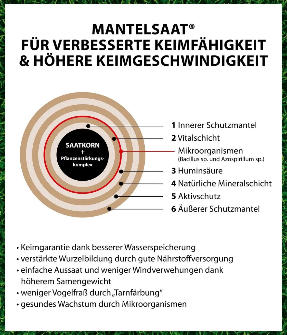 Dehner Rasenfix