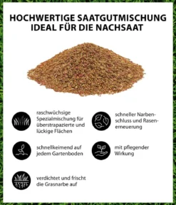 Dehner Rasen-Nachsaat
