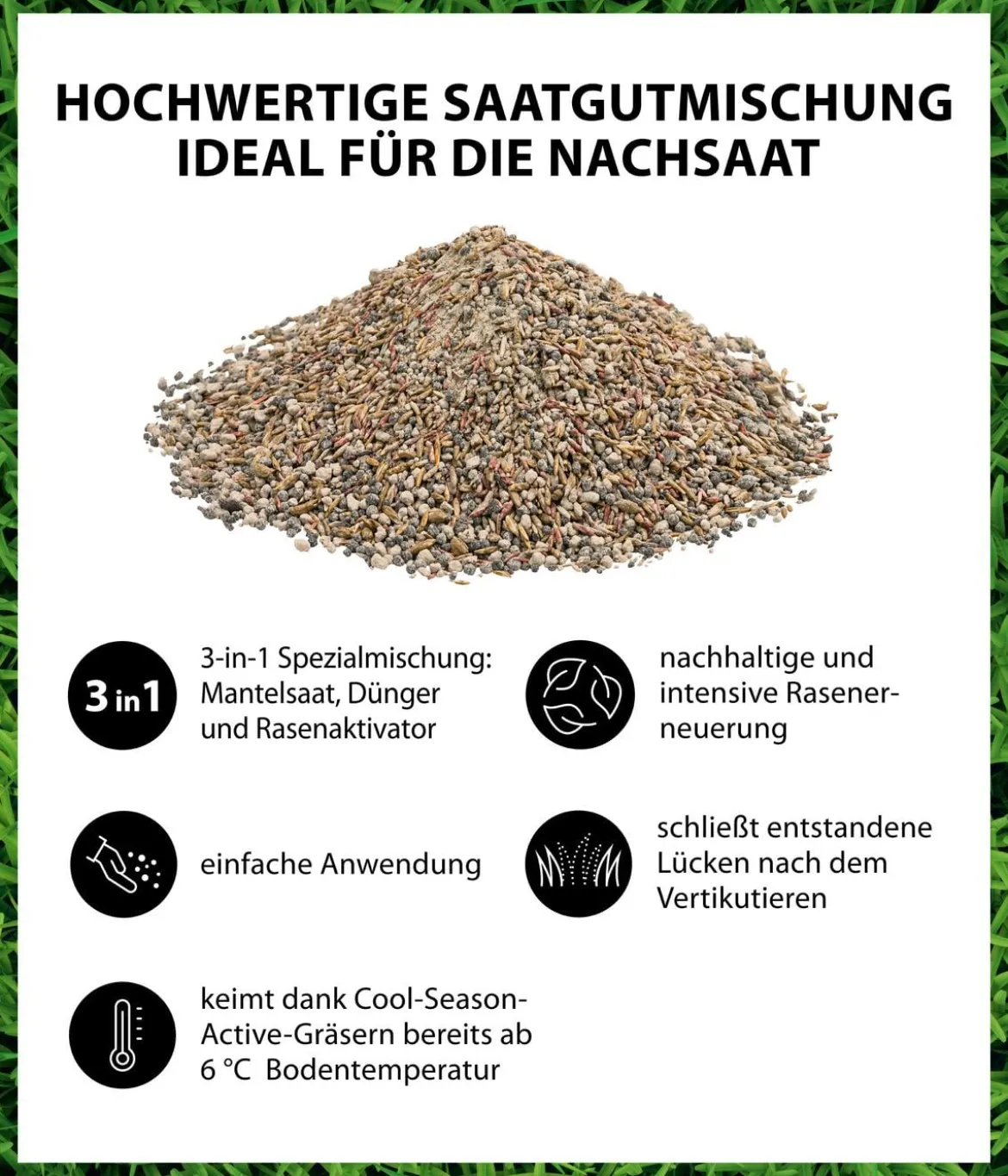 Dehner Rasen Verti-Kur