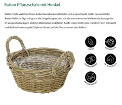 Dehner Rattan Pflanzschale mit Henkel, grau/braun