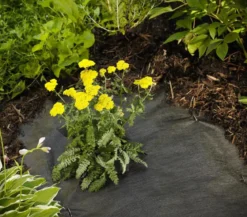 Dehner Rindenmulch-Unterlage, ca. L300/B200 cm