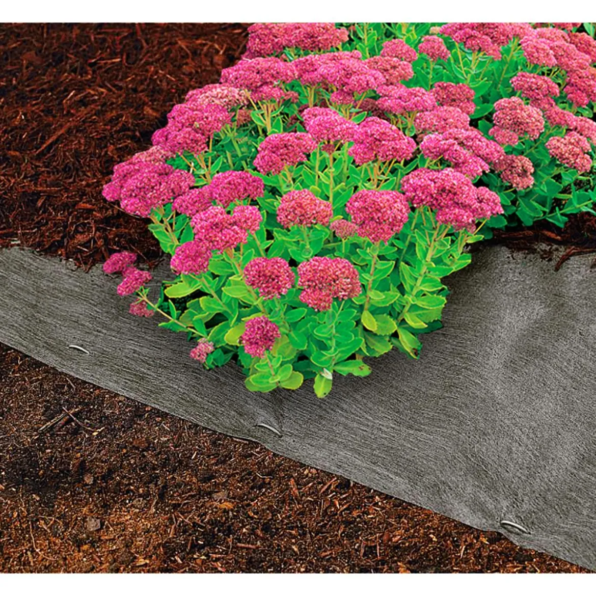 Dehner Rindenmulch-Unterlage, ca. L300/B200 cm