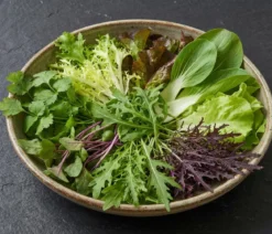 Dehner Saatband Asia-Salat-Mischung, L5 m