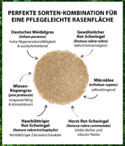 Dehner Saatgut Mikroklee-Rasen