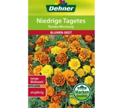 Dehner Saatgut Niedrige Tagetes 'Bonita Mischung'