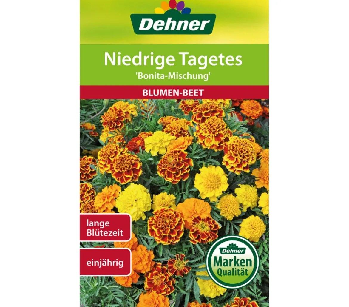Dehner Saatgut Niedrige Tagetes 'Bonita Mischung'