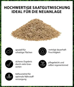 Dehner Saatgut Schattenrasen