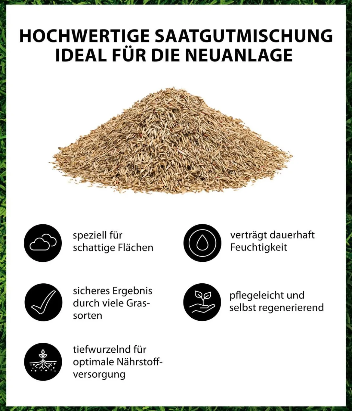 Dehner Saatgut Schattenrasen