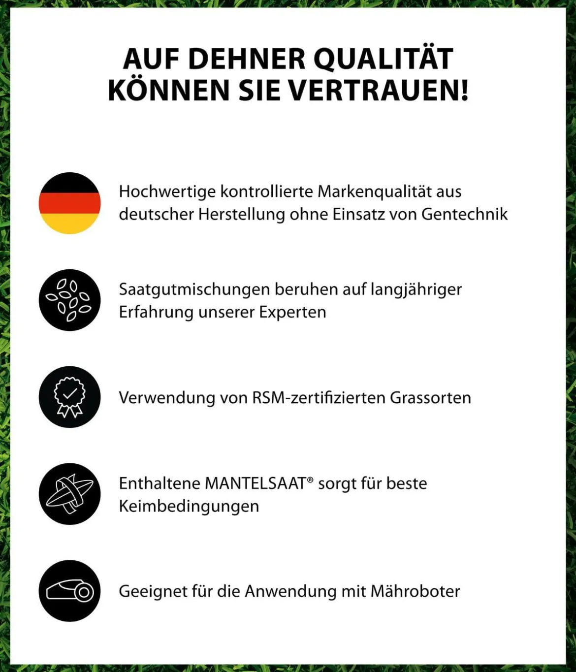 Dehner Saatgut Schattenrasen