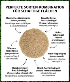 Dehner Saatgut Schattenrasen
