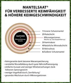 Dehner Saatgut Spiel- und Sportrasen