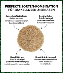 Dehner Saatgut Traumrasen