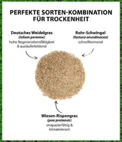 Dehner Saatgut Trockenrasen