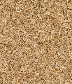 Dehner Saatgut Universalrasen, 500 g