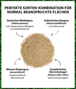 Dehner Saatgut Universalrasen, 500 g
