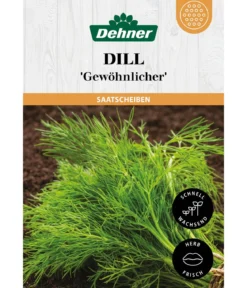 Dehner Saatscheiben Dill 'Gewöhnlicher', 3 Stück à Ø 8 cm