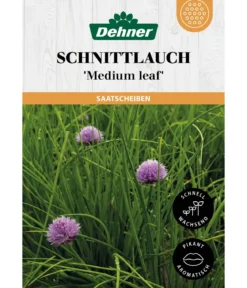 Dehner Saatscheiben Schnittlauch 'Medium leaf', 3 Stück à Ø 8 cm