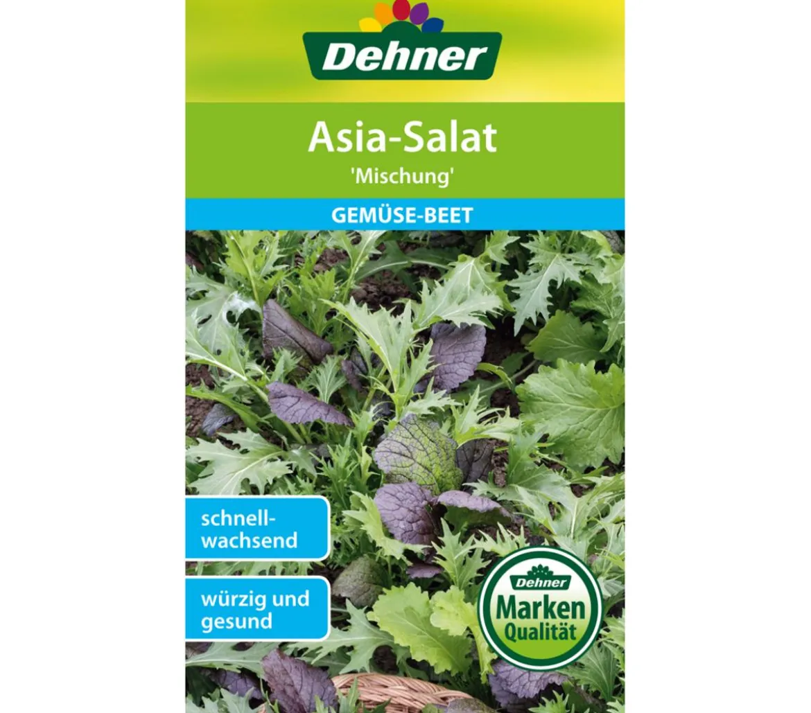 Dehner Samen Asia-Salat 'Mischung'